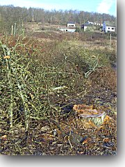 Aktuell geht es jetzt im Barwinkeltl los (siehe Foto). Dort werden alle B&auml;ume gef&auml;llt, die im neuen Baugebiet liegen. Der Hang ist komplett gerodet worden. In dem Bebauungsplan sollen bis zu 70 H&auml;user entstehen. Erst der f&uuml;nfte Bebauungsplan war im Juni 2006 nach heftigen Debatten verabschiedet worden. Im Stadtrat stimmten seinerzeit CDU, SPD und FDP daf&uuml;r, die FWM dagegen. Das Gebiet ist rund 6,5 Hektar gro&szlig; und als "Dorfgebiet" deklariert worden. Die Erschlie&szlig;ungskosten werden jedoch nicht dorftypisch sein!